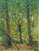 Vincent Van Gogh Trees and Undergrowth France oil painting artist